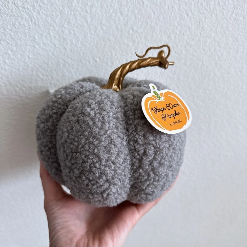 LAST ONE 🔥 Target Bullseye Halloween Pumpkin Gray